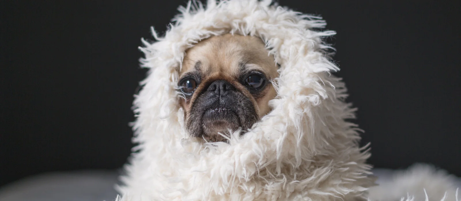 Natural Comfort, Timeless Style